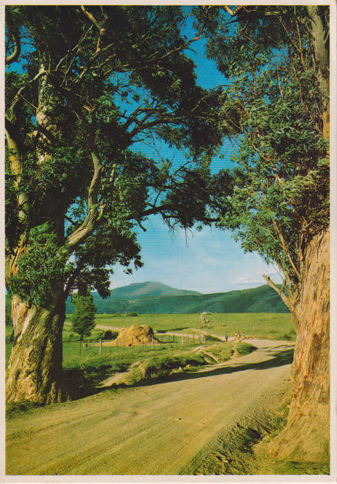 Post Cards / Maxi Card used