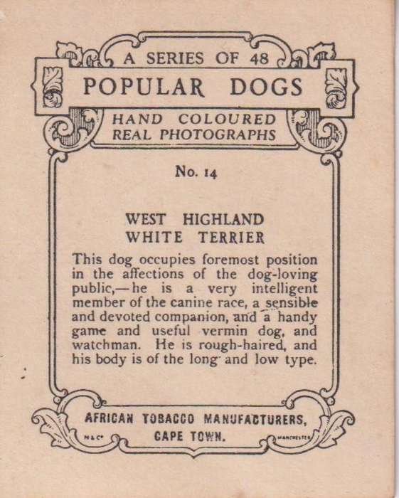 Cigarette Card Popular Dogs No. 48