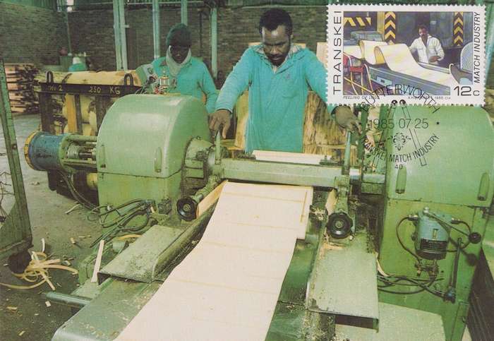 Maxi Card
