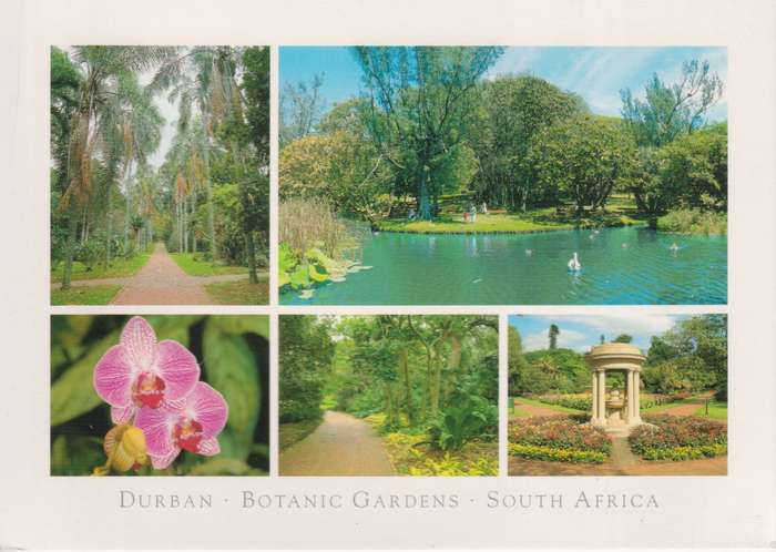 Post Cards / Maxi Card not used