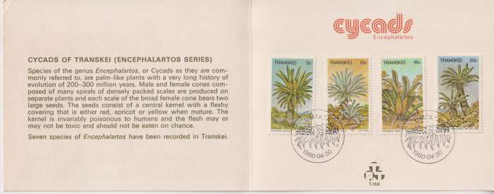 Stamp Cards