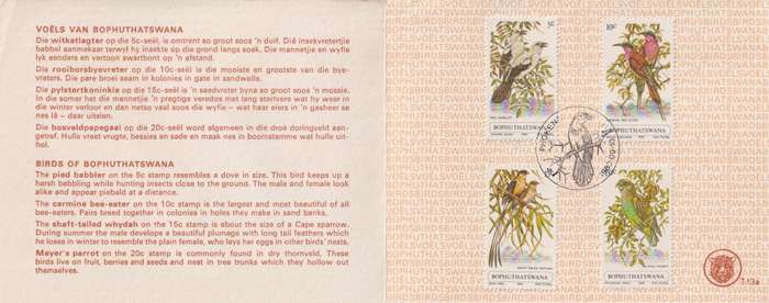 Stamp Cards