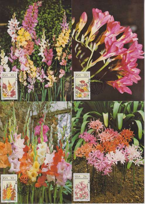 Maxi Card Set of 4 RSA 1985 Floral Emigrants