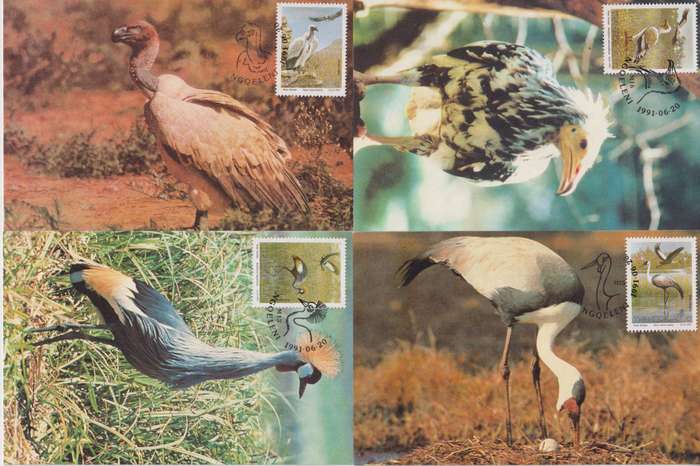 Maxi Cards Set Of 4 Transkei 1991 Endangered Birds
