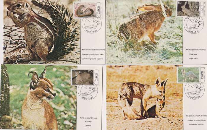 Maxi Cards Set Of 4 Ciskei 1982 Local Mammals
