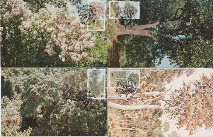 Maxi Cards Set Of 4 Ciskei 1983 Flora - Trees