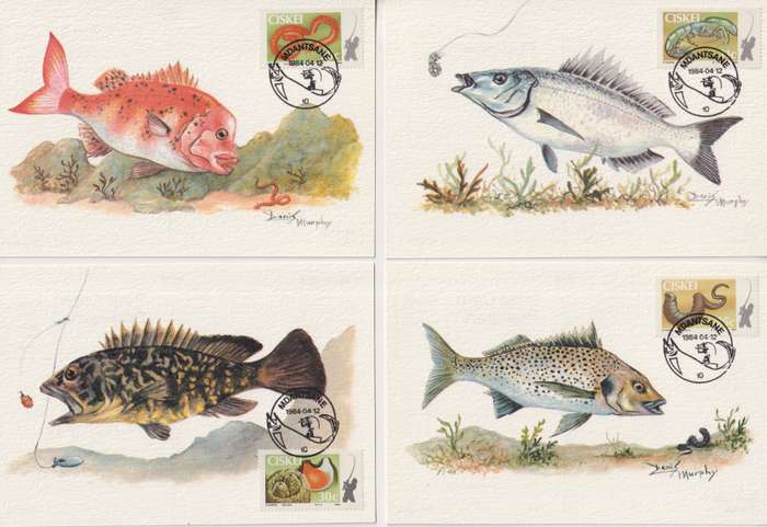 Maxi Card 1 Set Of 4 Ciskei 1985 Fish