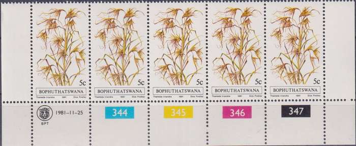 Stamps Control Blocks 1981 Indigenous Grasses