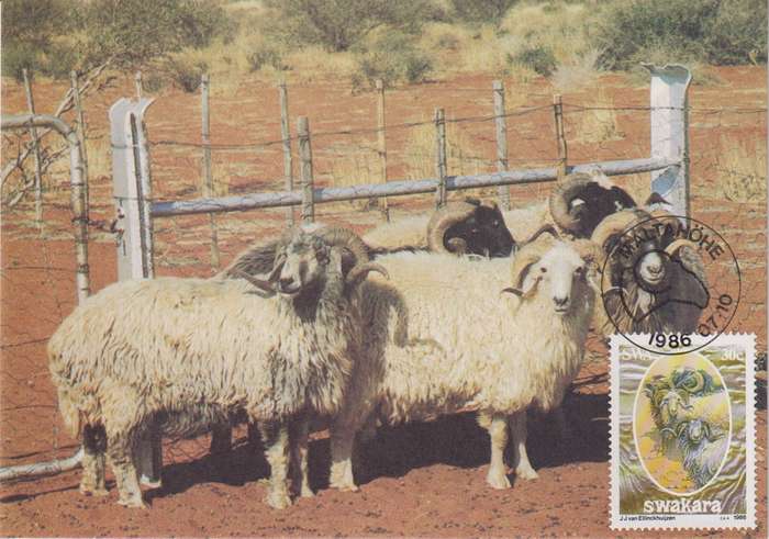 Post Cards / Maxi Card Not used