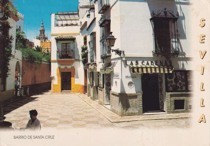 Post Cards / Maxi Card