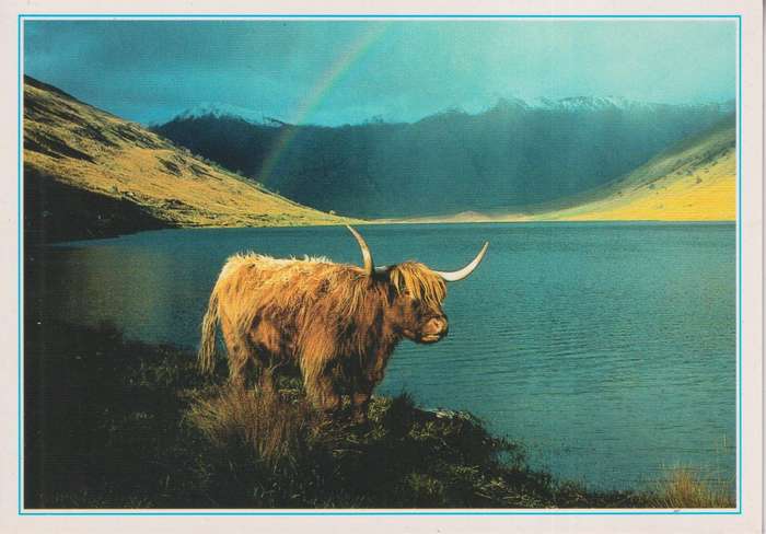 Post Cards / Maxi Card