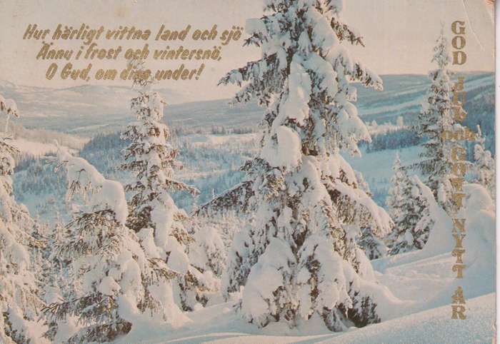 Post Cards / Maxi Card not used