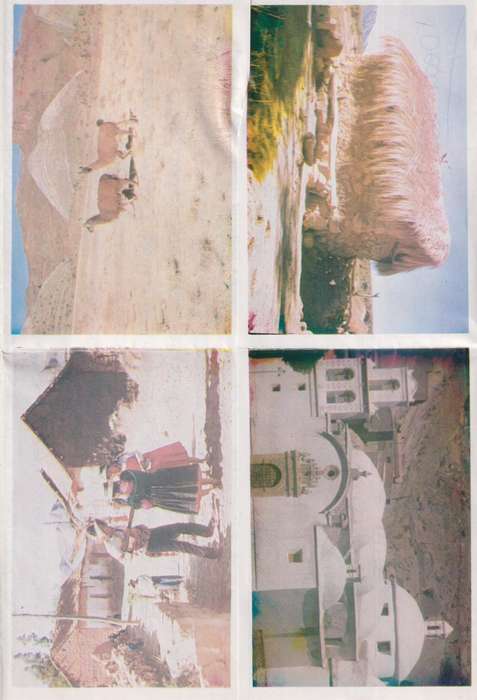 Post Cards / Maxi Card not used