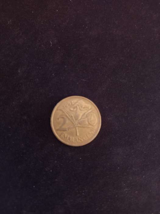 Coin Collection