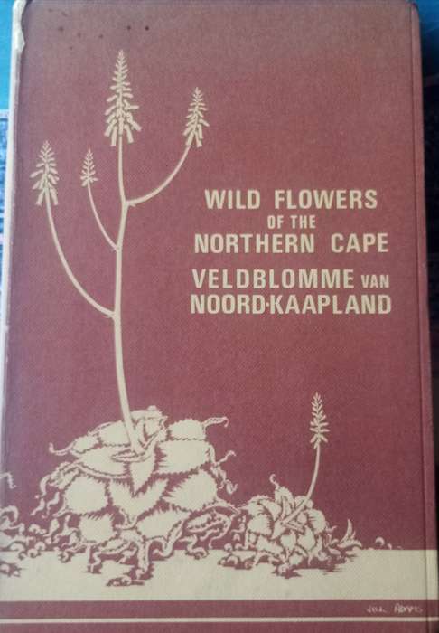 Wild Flowers of the Northern Cape / Veldblomme van Noord-Kaapland - Adams, Jill