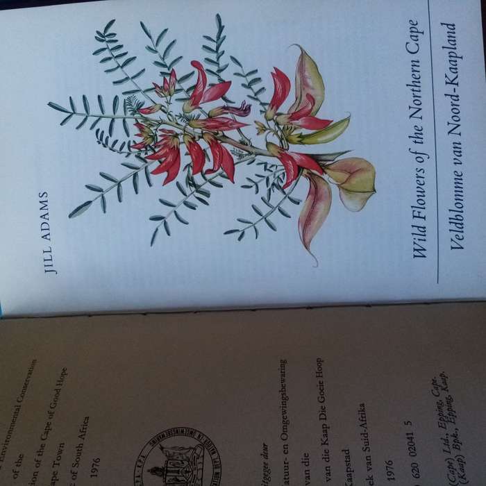Wild Flowers of the Northern Cape / Veldblomme van Noord-Kaapland - Adams, Jill