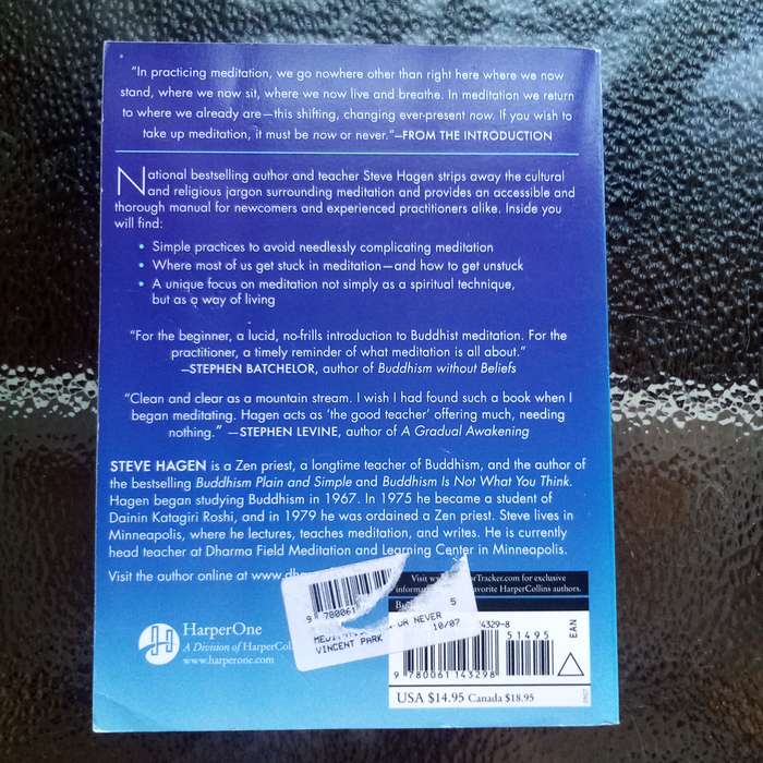 Meditation Now or Never by Steve Hagen Essential for Mindfulness Enthusiasts