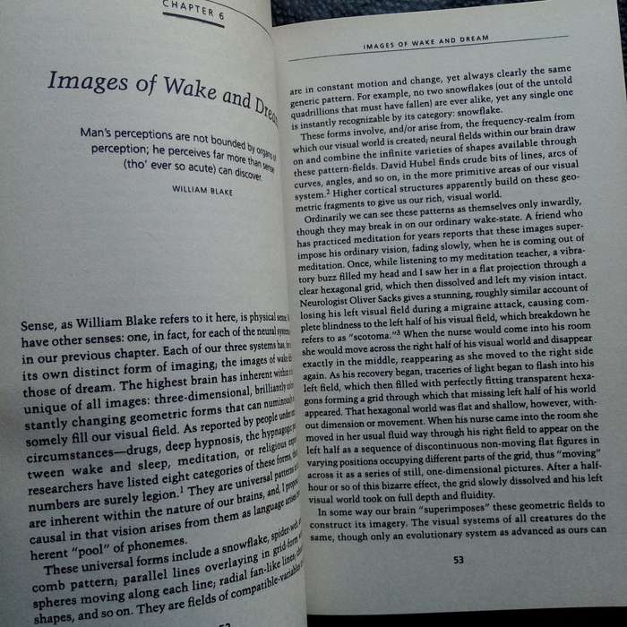 Evolutions End: Claiming the Potential of Our Intelligence by Joseph Chilton Pearce