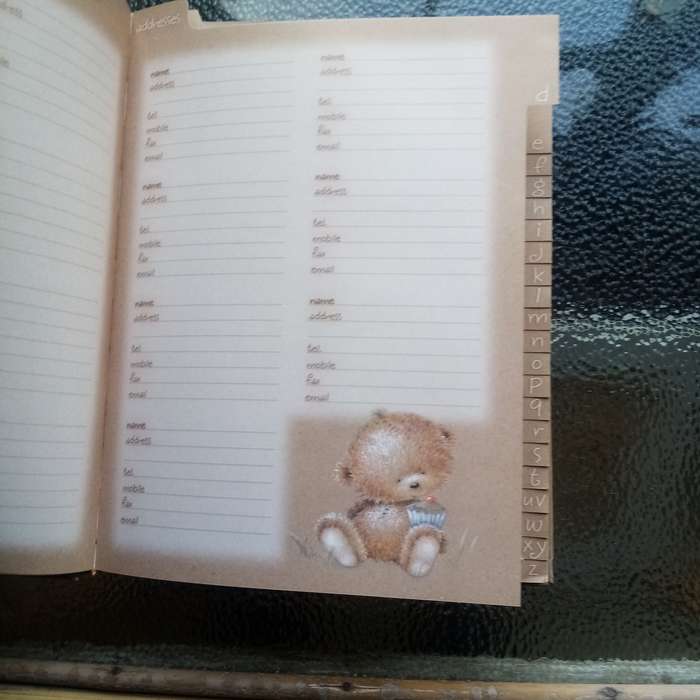 Bearly There: Friends and Family Organizer Book  A Charming & Practical Guide