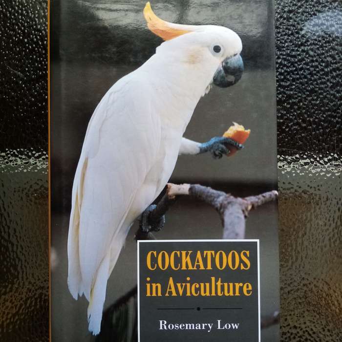 Cockatoos in Aviculture by Rosemary Low  Ultimate Guide for Bird Enthusiasts & Pet Owners