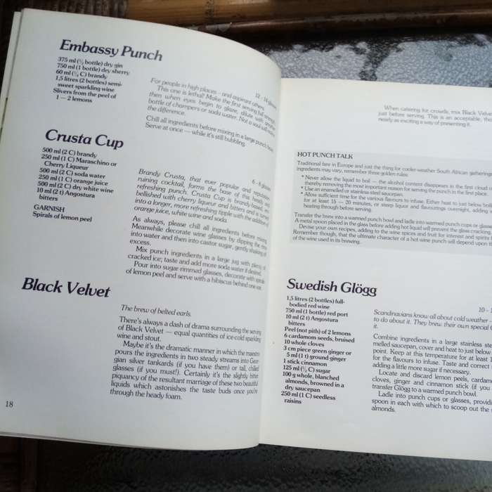 Braai in Style: The Complete South African Outdoor Cookbook by Lannice Snyman