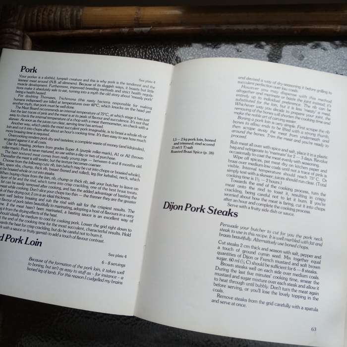 Braai in Style: The Complete South African Outdoor Cookbook by Lannice Snyman
