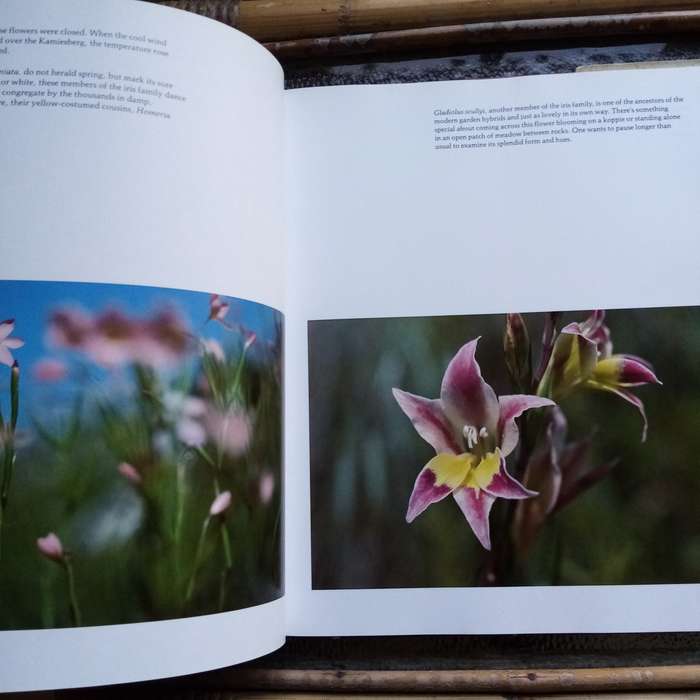 Namaqualand: Garden of the Gods by Freeman Patterson  A Visual Journey