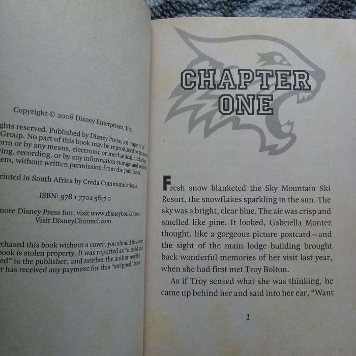 High School Musical: Ringin It In!  The Ultimate Companion book for Fans