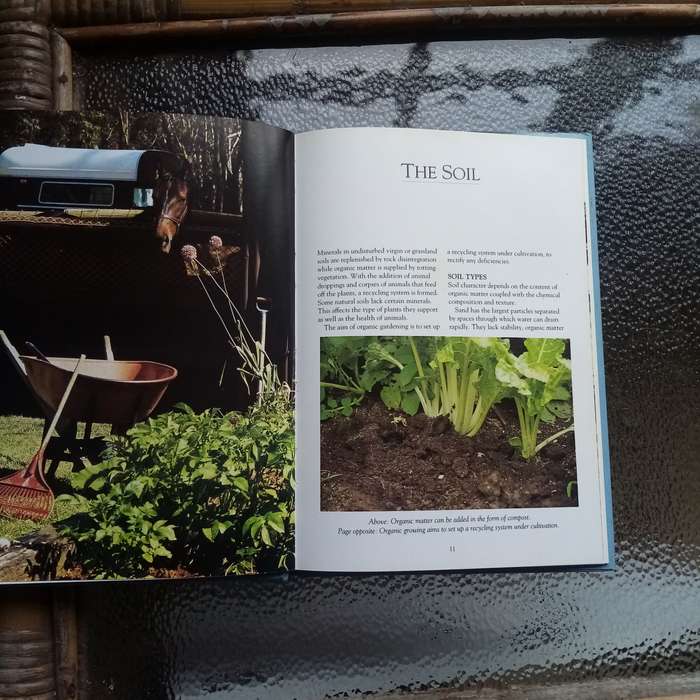 Gardening with the Experts: Organic Techniques for Thriving Gardens