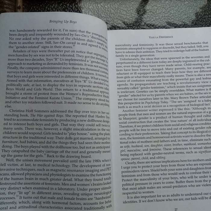 Bringing Up Boys by James C. Dobson - Key Insights for Successful Parenting