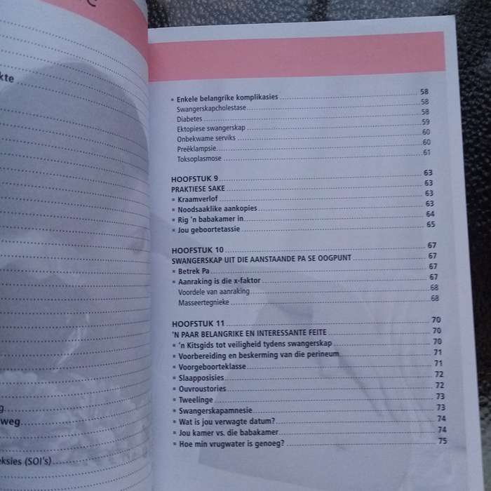 Suster Lilian: Omvattende Swangerskap- en Geboortehandleiding - Jou Betroubare Gids