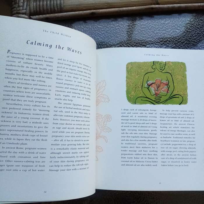 Embrace Motherhood: "Wild Child" by Deborah Jackson  Wisdom for Pregnancy and Birth (B)