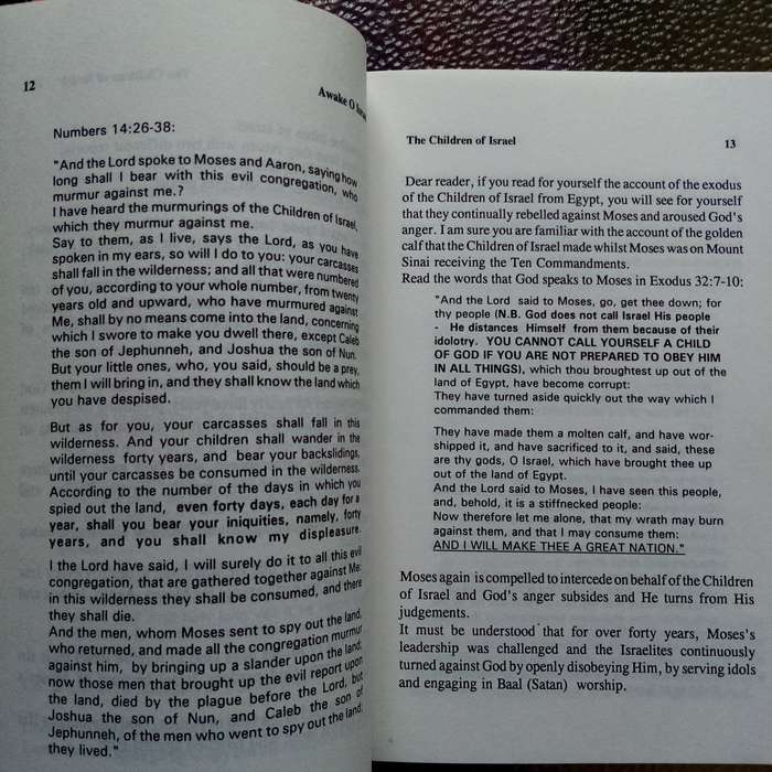 Awake O Israel: A Call to Spiritual Renewal by David Nathan