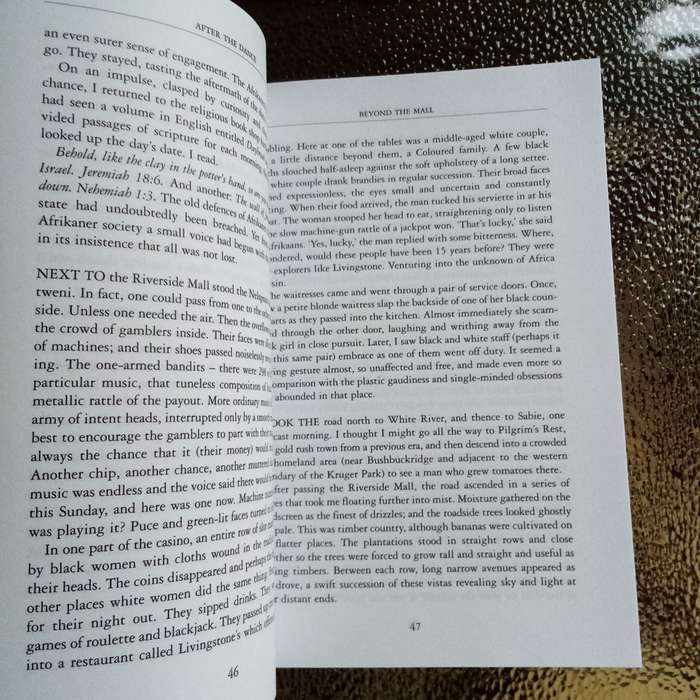 After the Dance: Travels in a Democratic South Africa by David Robbins - A Journey of Discovery