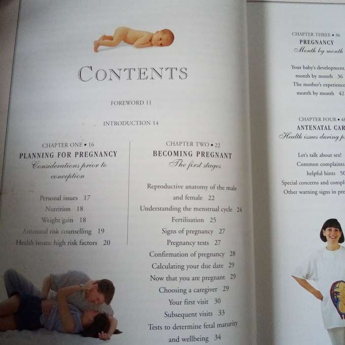 The Pregnancy & Birth Book - Your Comprehensive Guide to a Healthy Pregnancy and Delivery