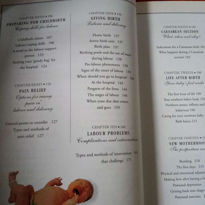 The Pregnancy & Birth Book - Your Comprehensive Guide to a Healthy Pregnancy and Delivery