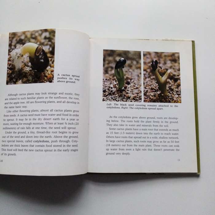 Cactus: A Learner's Natural Science Book | An Illustrated Guide to Cacti for Curious Minds