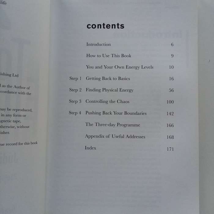 4 Weeks to Total Energy by Judith Wills: Boost Your Vitality in Just 28 Days