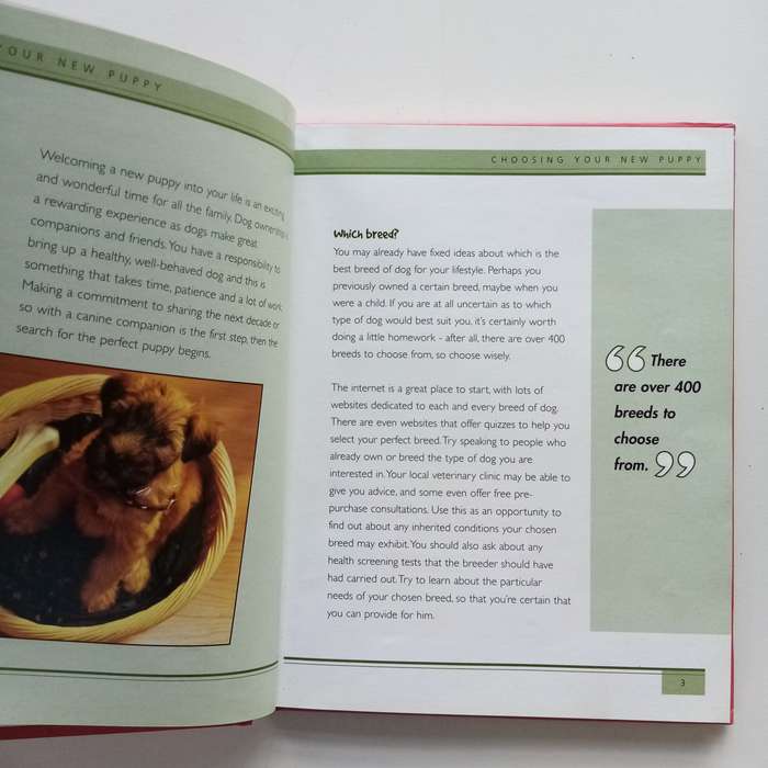 Puppies by Alison Jones: Giving Your Pet the Best Start in Life
