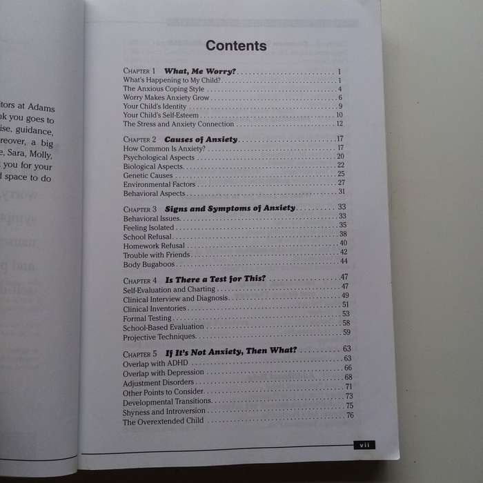 The Everything Parents Guide to Children with Anxiety by Ilyne Sandas  Supportive Strategies