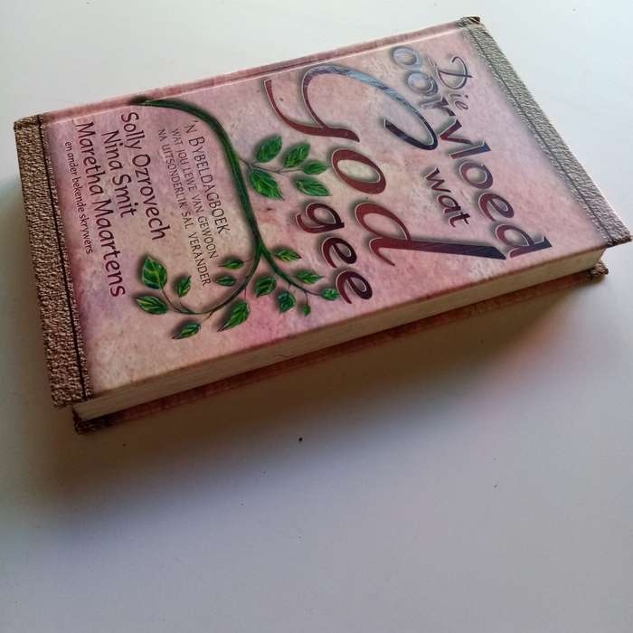 Die Oorvloed wat God Gee - 'n Inspirasie van Geloof en Hoop