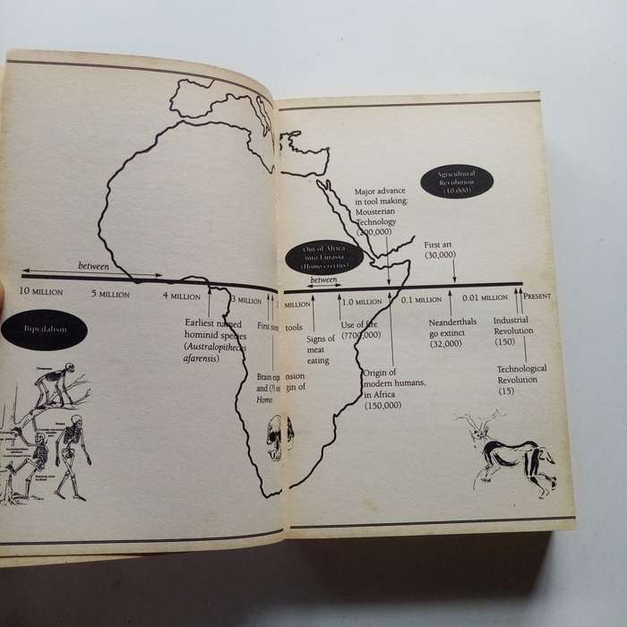 Origins Reconsidered by Richard Leakey & Roger Lewin  A Groundbreaking Exploration of Human Evoluti
