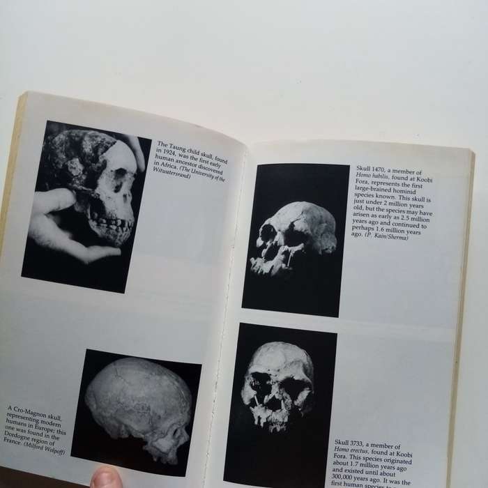 Origins Reconsidered by Richard Leakey & Roger Lewin  A Groundbreaking Exploration of Human Evoluti