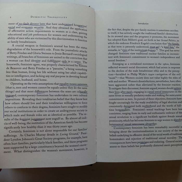 Domestic Tranquility: A Brief Against Feminism by F. Carolyn Graglia  A Provocative Exploration