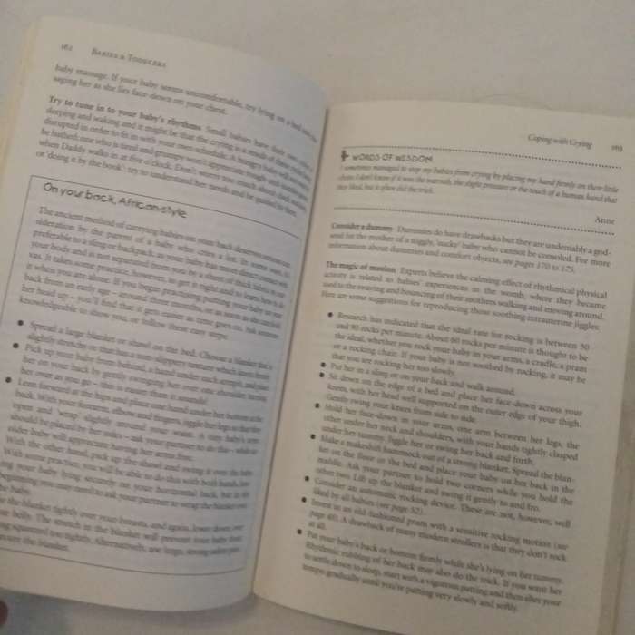 Babies and Toddlers: How to Survive Them by Jane-Anne Hobbs  Your Essential Guide to Parenting