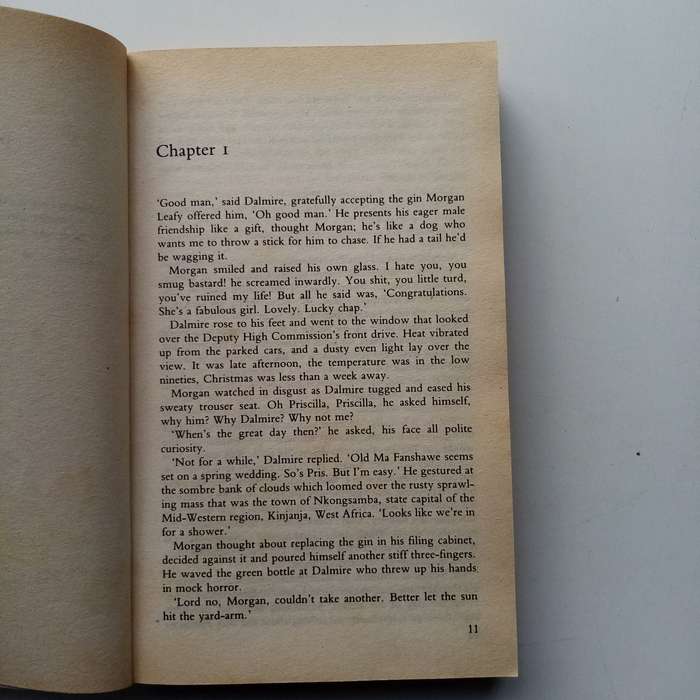 A Good Man in Africa by William Boyd