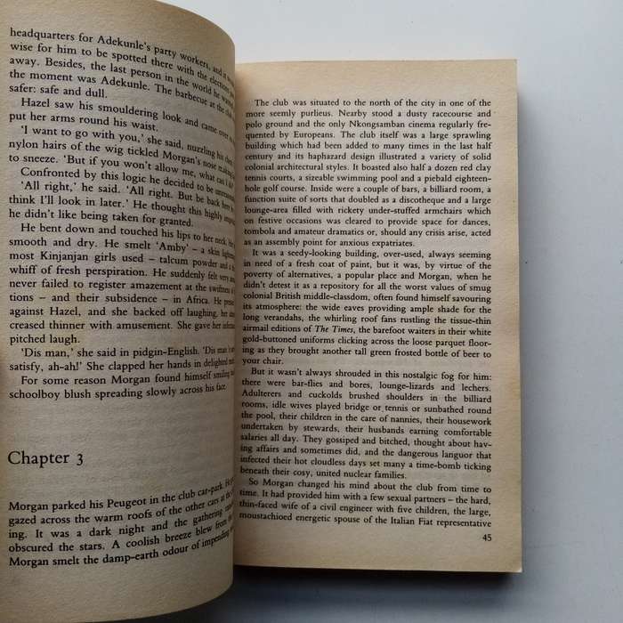 A Good Man in Africa by William Boyd