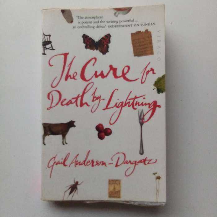 The Cure for Death by Lightning by Gail Anderson | A Gripping Novel of Family, Secrets, and Survival