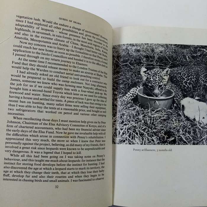Queen of Shaba: The Story of an African Leopard by Joy Adamson - A Captivating Wildlife Tale