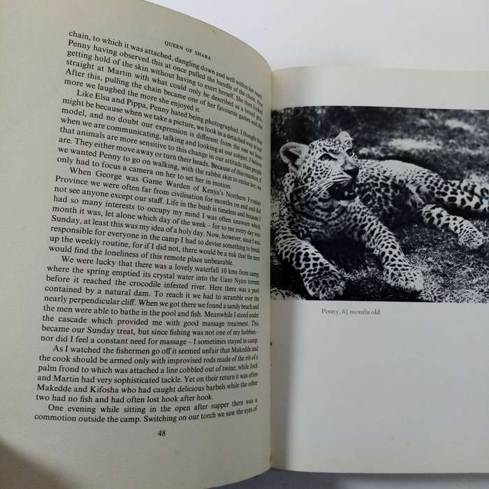 Queen of Shaba: The Story of an African Leopard by Joy Adamson - A Captivating Wildlife Tale